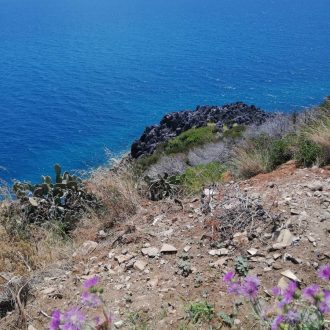 Scopri-Palinuro-Costa-2